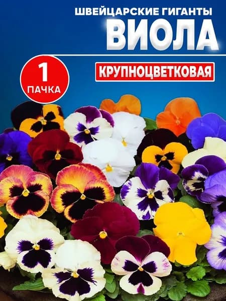 Семена цветов Виолы многолетней Гигант