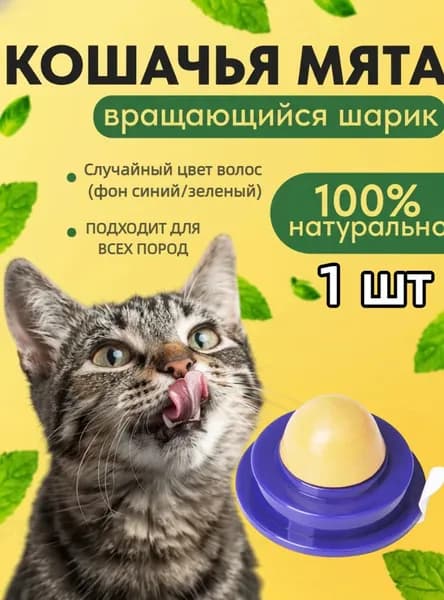 Облизывание кошек и прилипание их закусок к стене способствуют пищеварению