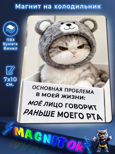 Магнит на холодильник, Сердитая кошечка