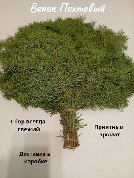 AndVer Веник для бани Пихтовый, 1 шт.
