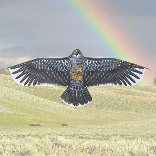 Орел кайт