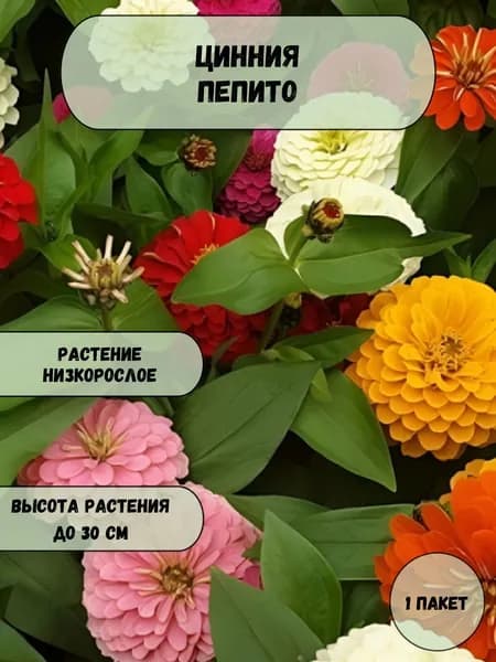 Цинния Пепито семена 10 шт