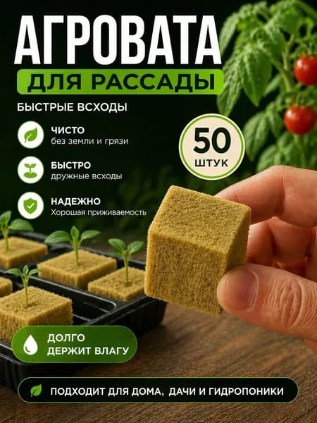 Грунт