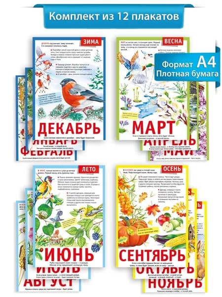 Плакаты обучающие "12 месяцев" времена года на стену для декора в школу украшение класса набор 12 шт