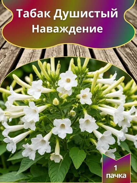 Табак душистый Наваждение , семена 10 шт.