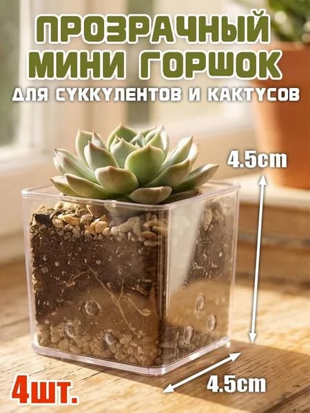 Горшок для цветов 4.5 см, 4 шт, цвет прозрачный