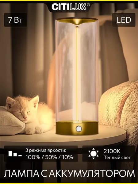 Настольный светильник STRENG CL811012