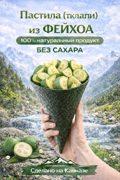 Фруктовый лаваш Пастила Тклапи Фейхоа без сахара смоква