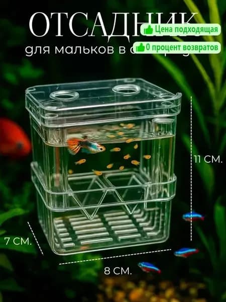 Отсадник инкубатор для рыб пластиковый 8х7х11 см