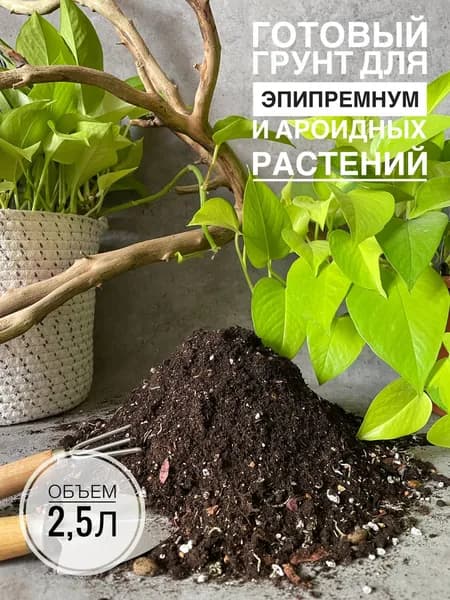 Премиум грунт для Эпипремнума и ароидных 2,5л с биогумусом Terracotta Plants