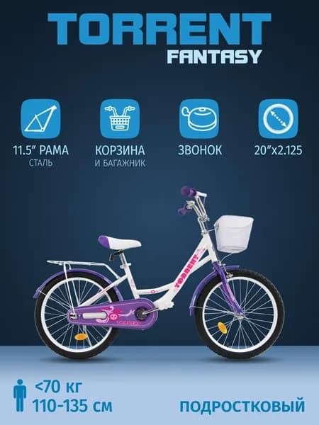 Детский велосипед TORRENT Fantasy (детский-подростковый, 1 скор., рама сталь, колеса 20", корзина)