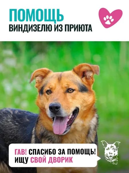 Помочь Виндизелю найти дом