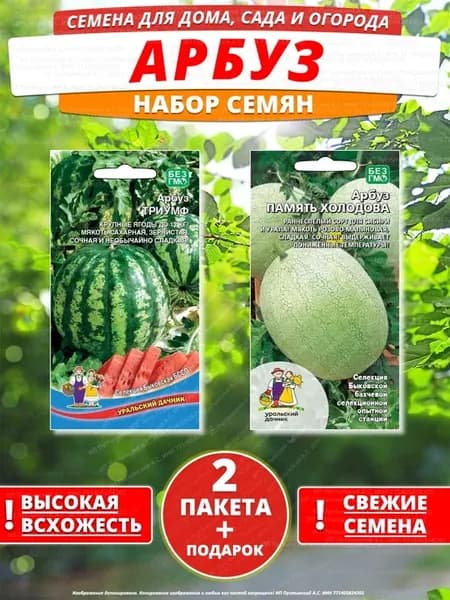 Семена арбуз для дома сада посадки