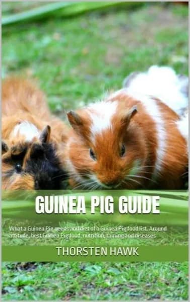 Guinea Pig Guide | Hawk Thorsten | Электронная книга