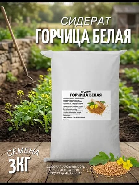 Горчица белая семена сидерат 3 кг