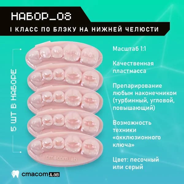 Набор#8 Модели для реставрации зубов/5 штук/16 зубов/ тренировочные модели