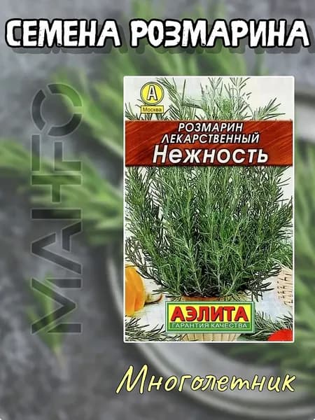 Семена Розмарин Нежность, Лидер, 20 семян (Аэлита)