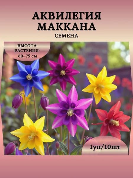 Аквилегия "Маккана" семена, 1 пачка