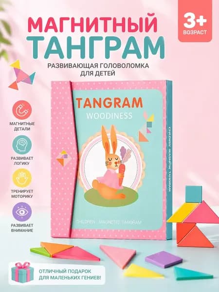 Танграм магнитный с заданиями для детей, Головоломка детская