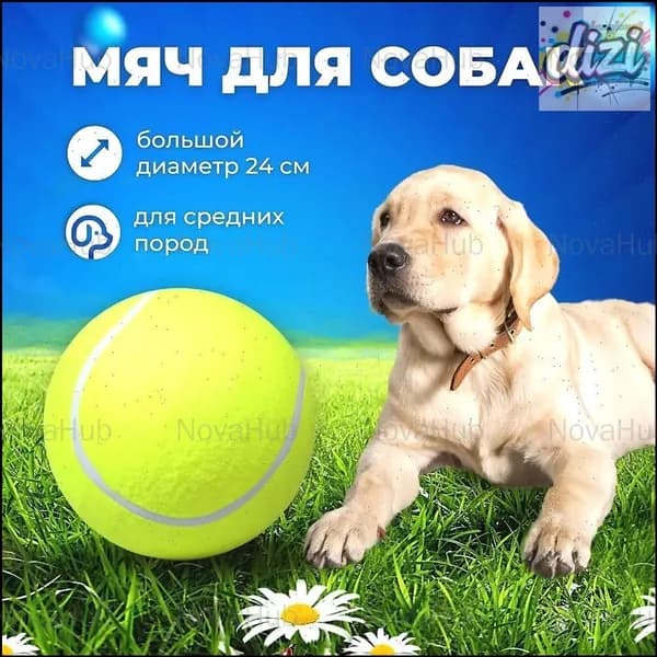 Премиумтеннисный мяч 24 см для собак-
