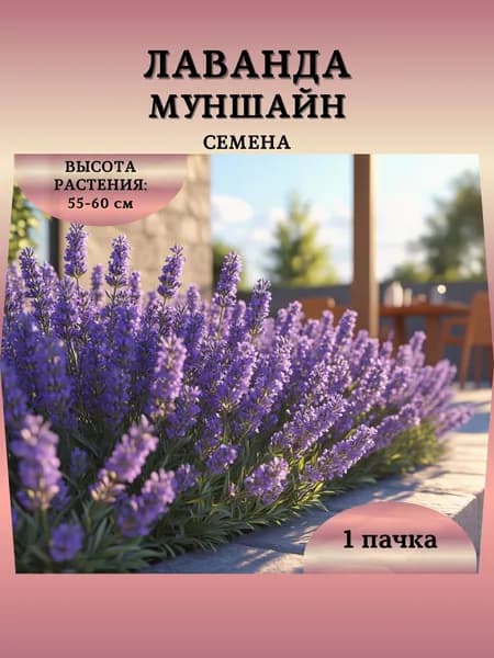 Семена Лаванды "МунШайн", 10 семян