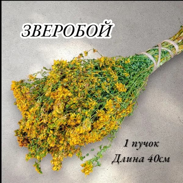 Веник для бани Зверобой, 1 шт.