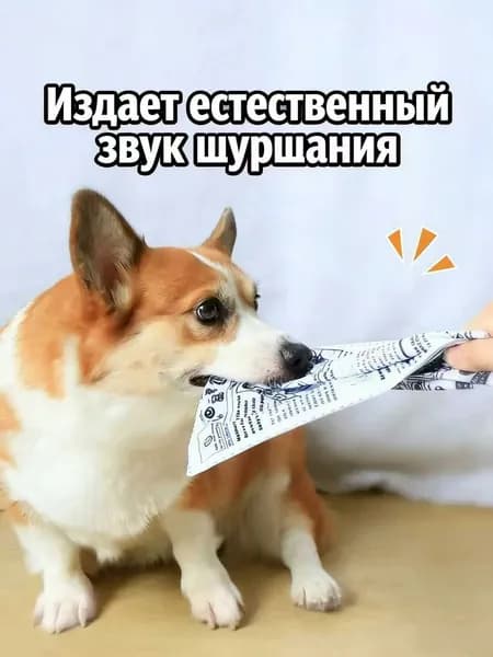Игрушка-газета для домашних животных с хрустящим звуком: веселая и прочная, идеально подходит для кемпинга весной и летом