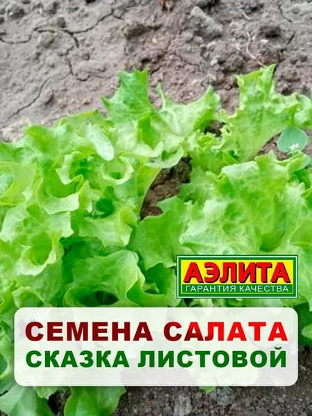 Семена салат "Сказка листовой", 0,5 г, для дома, дачи и огорода, салат из семян, в открытый грунт