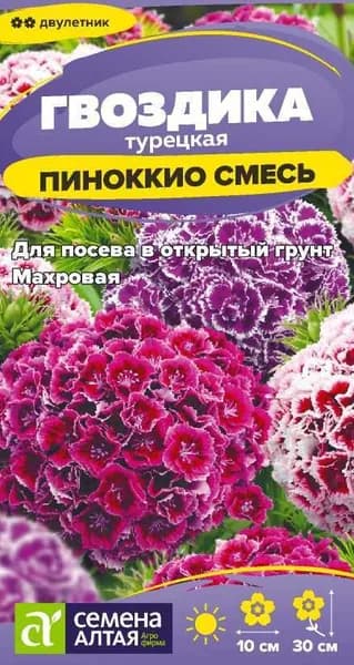 Семена Цветы Гвоздика турецкая Пиноккио/Семена Алтая/цп 0,1 гр. двулетник