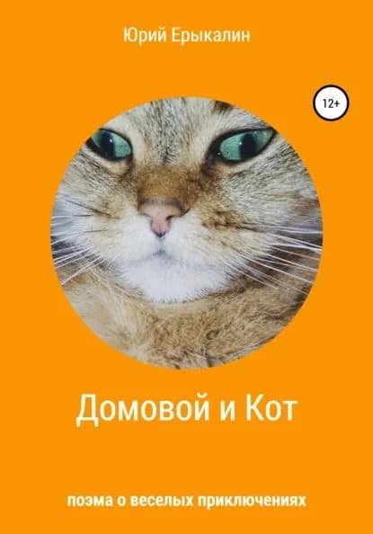 Домовой и Кот | Ерыкалин Юрий | Электронная книга