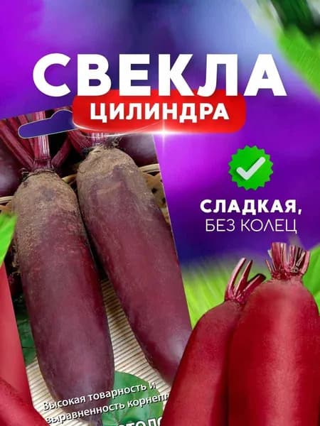 Свекла столовая Цилиндра
