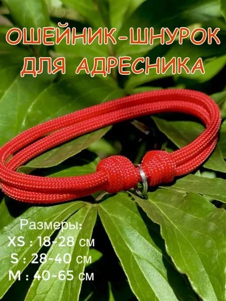 Ошейник-Шнурок для адресника из паракорда, ярко красный, S (28-40см)