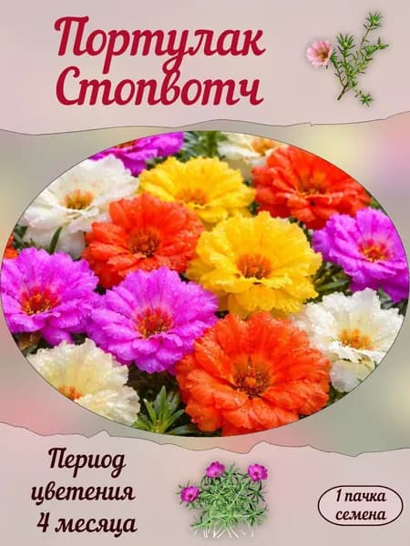 Портулак Стопвотч, семена, 10 шт.