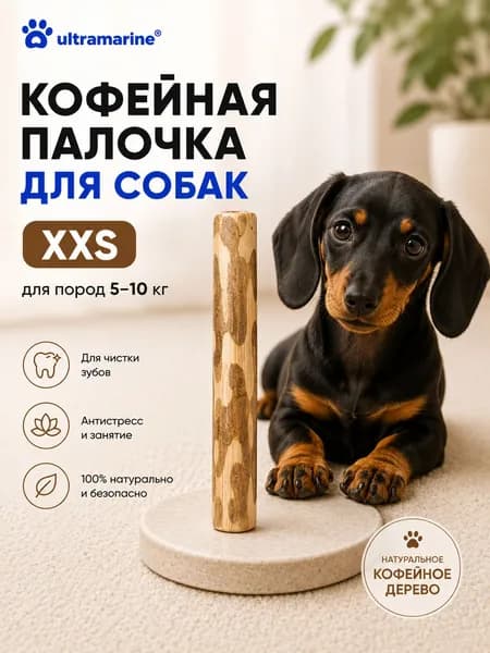 Игрушка-палочка из кофейного дерева для чистки зубов , размер XXS