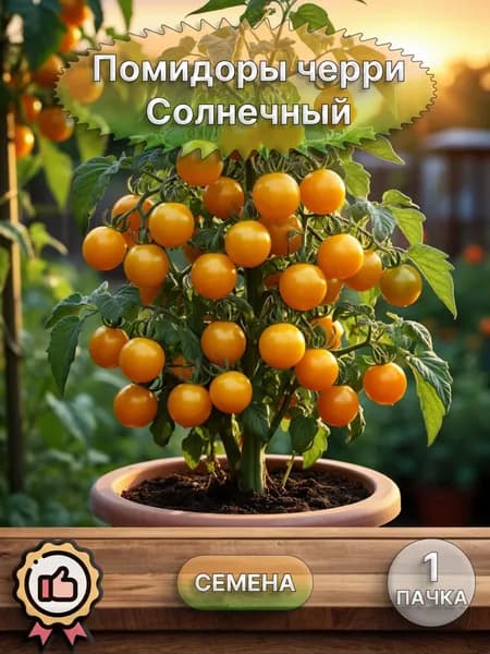 Помидор черри Солнечный, семена 10 шт