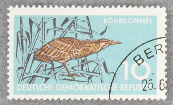 Почтовая марка " Bittern (Botaurus stellaris), Common Reed (Phragmites commun)". Номинал 10 Pf. DDR. 1959 год. (Michel DD 689)