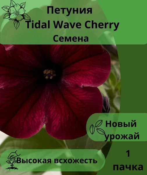 Петуния Tidal Wave Cherry семена 1пачка