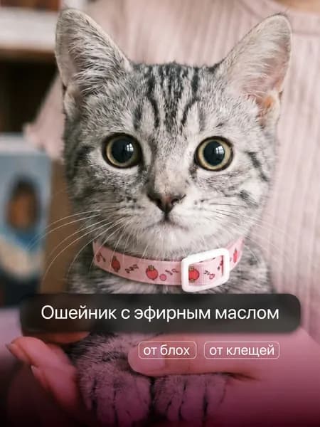 Ошейник от блох и клещей для кошек и собак SSY, 35 см