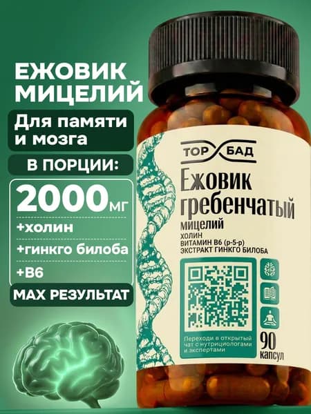 Ежовик гребенчатый lions mane мицелий с холином и экстрактом гинкго билоба ТОПБАД