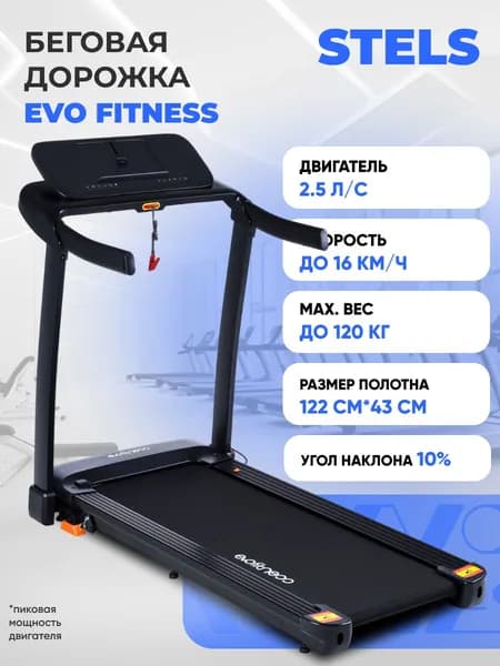 Беговая дорожка EVO FITNESS Stels black, электрическая, угол наклона, черная. Товар уцененный