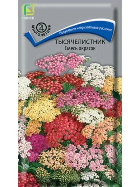 Семена Тысячелистник сорт Микс