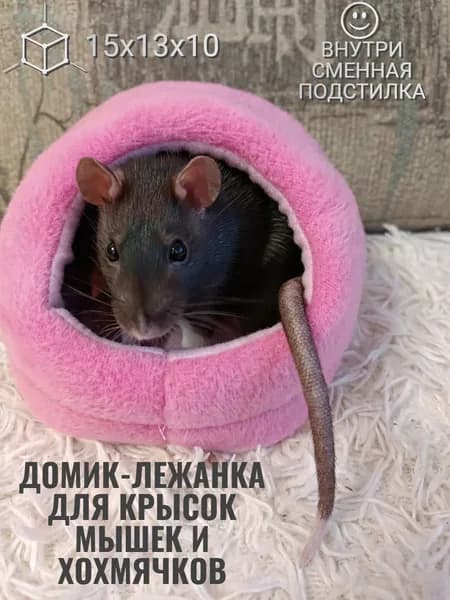 Домик со съемной лежанкой для крысы 15х13х10 голубой