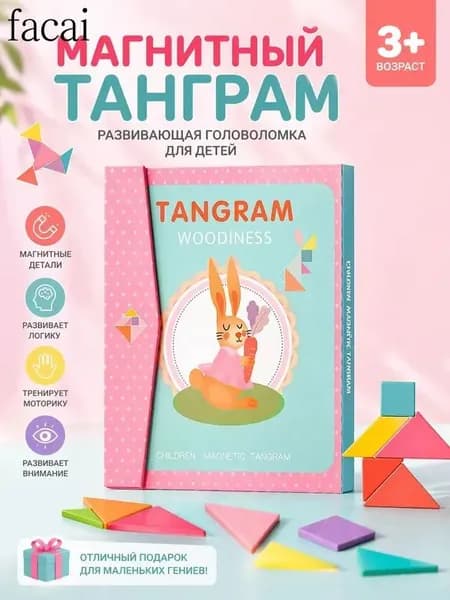 Танграм магнитный с заданиями для детей, Головоломка детская