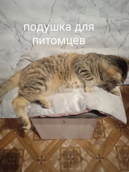 подушка для кошек и мелких собак