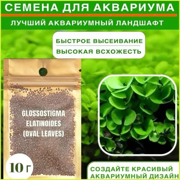 Семена для посадки для аквариума Glossostigma elatinoides long leaves