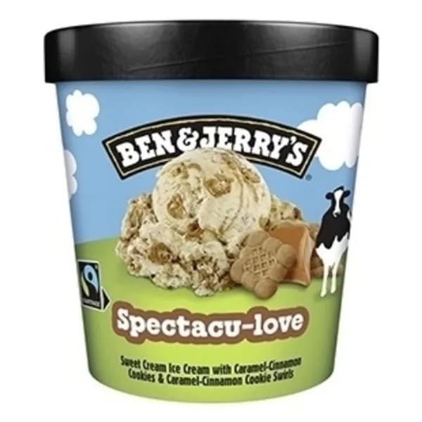 Мороженное сливочное Ben&Jerry's с кусочками карамельного печенья с корицей 392 г
