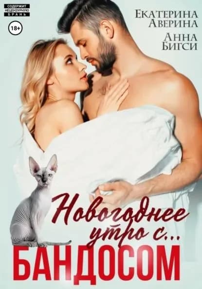 Новогоднее утро с... Бандосом! | Бигси Анна, Аверина Екатерина | Электронная книга