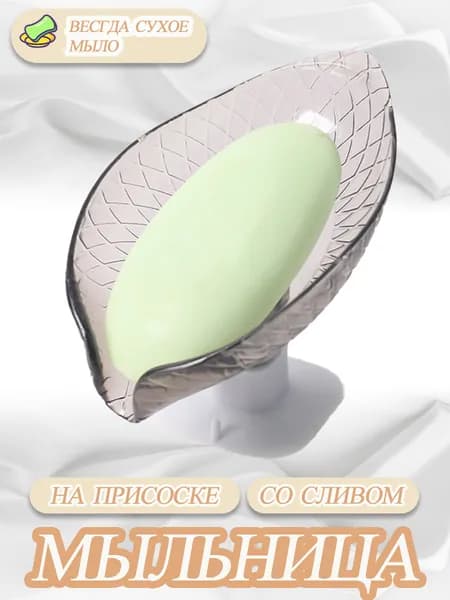 Мыльница