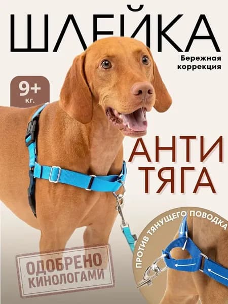 Шлейка для собак крупных и средних пород антитяга