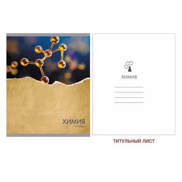 Тетрадь предметная "Steel light. Химия", А5, 48 л., клетка, 1 шт, скрепка, металлизация, твин-лак, ЭКСМО